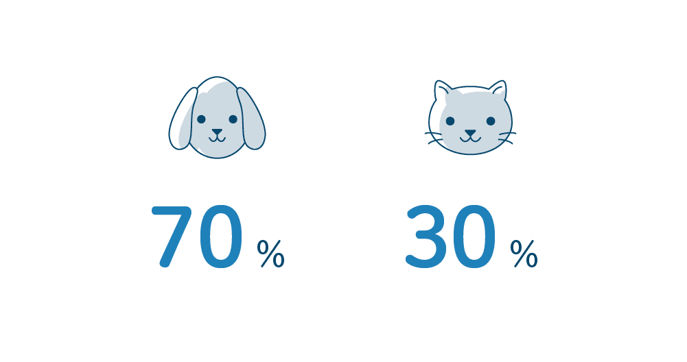 エヌアセットスタッフにアンケート 犬派？猫派？