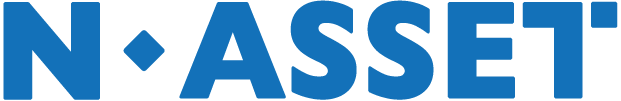 n-asset logo